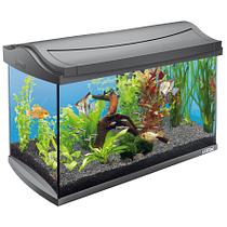 Tetra AquaArt Aquarium Komplett-Set, 60 Liter
