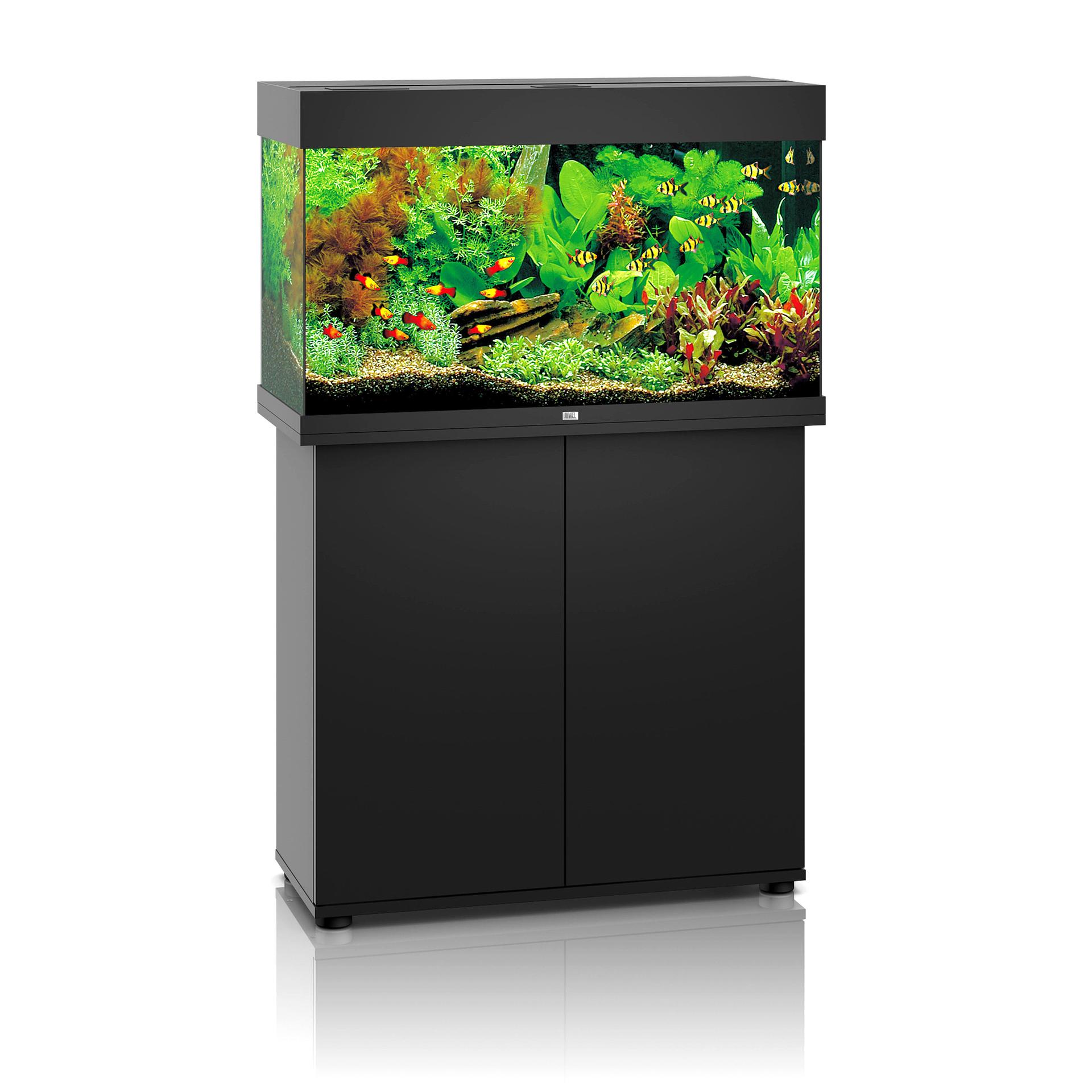 Juwel Aquarium Rio 125 - Juwel - Aquarien - Aquaristik