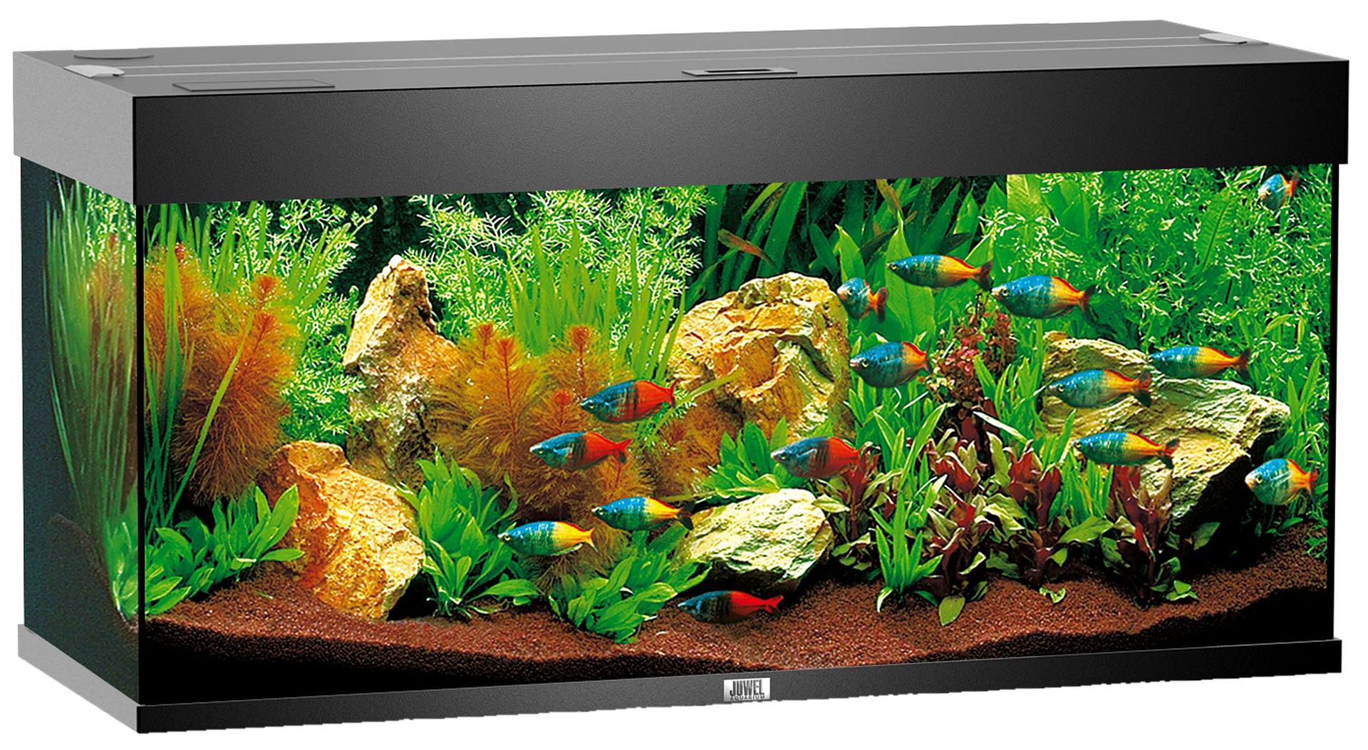 Juwel Aquarium Rio 180 - Juwel - Aquarien - Aquaristik