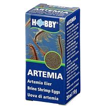 Hobby Artemia Eier
