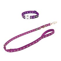 RedDingo Halsband & Leine Design Desert Paws Purple