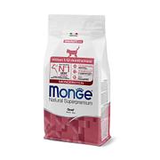 Monge Cat Kitten Monoprotein Rind